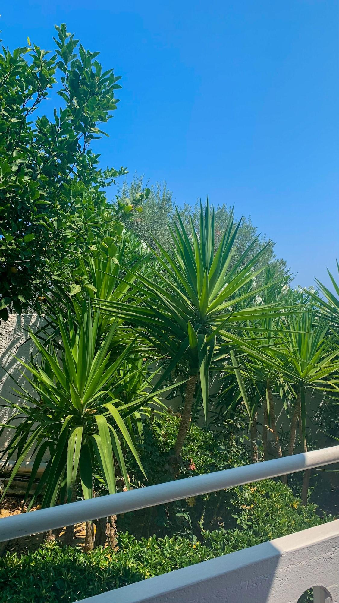 Skala Apartments Aγία Μαρίνα Εξωτερικό φωτογραφία